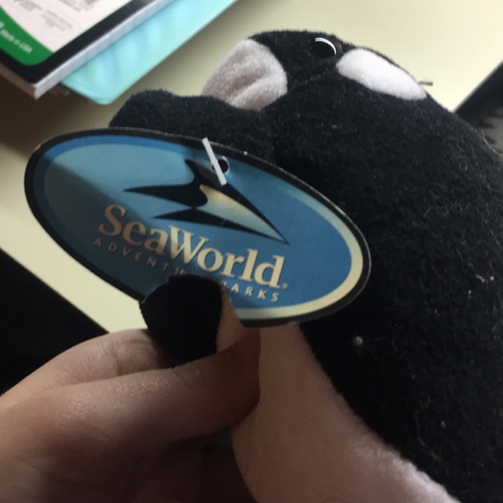 Sea World Shamu - Picture 5 of 5